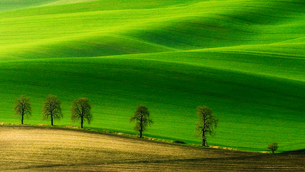 View of rolling green hills in the Moravia region with a line of trees and cultivated fields in the foreground in Brno City District South Moravian Region Czechia.