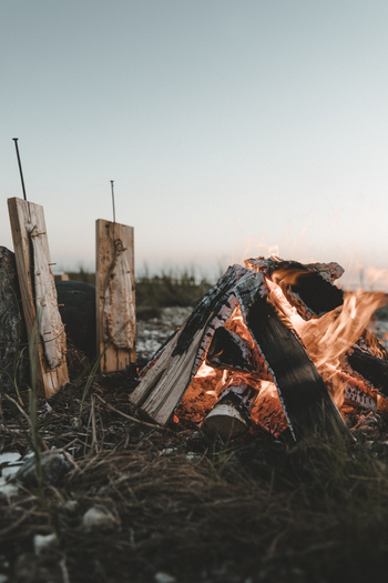 View of Vormsi island where fish are being smoked on wooden planks over an open campfire on the rocky beach in Laane County Estonia. View of Vormsi island where fish are being smoked on wooden planks over an open campfire on the rocky beach in Laane County Estonia.