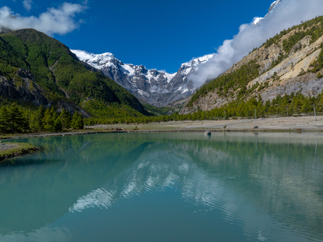 Aerial view of a turquoise glacial lake nestled among snow capped Himalayan peaks pine forests and rugged mountain slopes under a clear blue sky in Nepal.