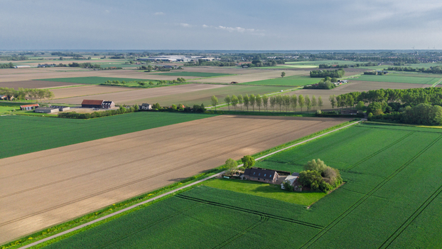 Aerial view of vast agricultural fields with farmhouses and rows of trees under a clear sky in Vierpolders South Holland Netherlands. Aerial view of vast agricultural fields with farmhouses and rows of trees under a clear sky in Vierpolders South Holland Netherlands.