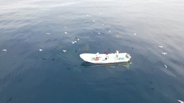 Aerial view of fishermen in a boat at Los Roques Venezuela.