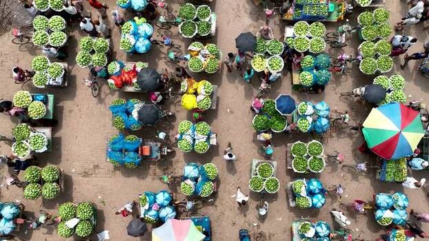 Aerial view of a busy mango market in Chapai Nawabganj Bangladesh.