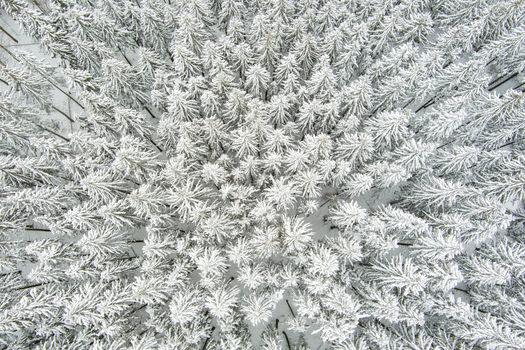 Brasov Brasov Romania 21 September 2026 Aerial view of a dense coniferous forest blanketed in fresh white snow during winter. Brasov Brasov Romania 21 September 2026 Aerial view of a dense coniferous forest blanketed in fresh white snow during winter.