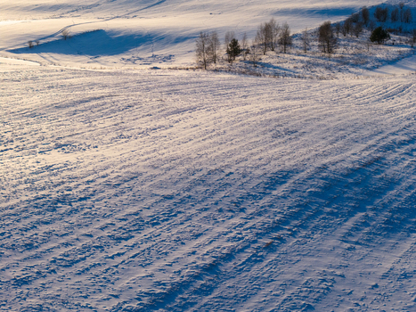 Aerial view of snow covered rolling hills and sparse trees under soft winter light Lithuania. Aerial view of snow covered rolling hills and sparse trees under soft winter light Lithuania.