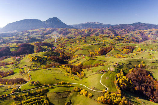 Aerial view of rolling hills and autumn foliage with winding rural roads and scattered houses in the Carpathian Mountains landscape in Bran Brasov Romania. Aerial view of rolling hills and autumn foliage with winding rural roads and scattered houses in the Carpathian Mountains landscape in Bran Brasov Romania.