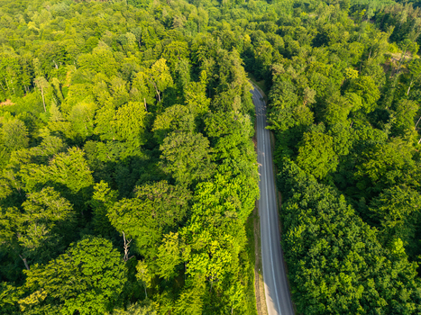 Aerial view of a winding road cutting through a dense green forest in Kadyny Warmian Masurian Voiv Poland. Aerial view of a winding road cutting through a dense green forest in Kadyny Warmian Masurian Voiv Poland.