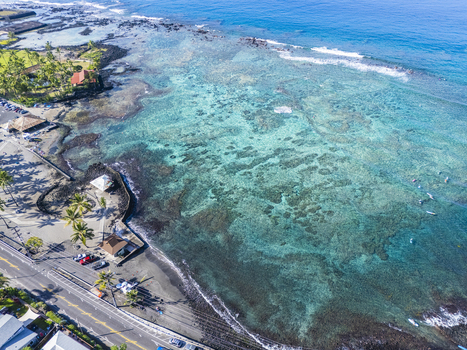 Aerial view of Kahalu u Beach Park featuring people snorkeling in the vibrant coral reef clear turquoise waters and palm lined coast in Kailua Kona Hawaii United States. Aerial view of Kahalu u Beach Park featuring people snorkeling in the vibrant coral reef clear turquoise waters and palm lined coast in Kailua Kona Hawaii United States.