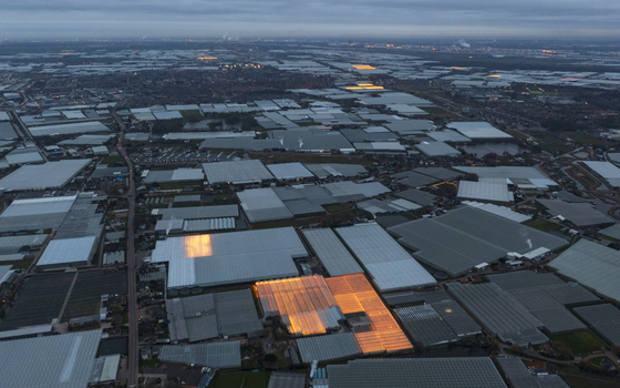 Aerial view of vast industrial greenhouse complexes illuminated with glowing orange lights at dusk Netherlands.