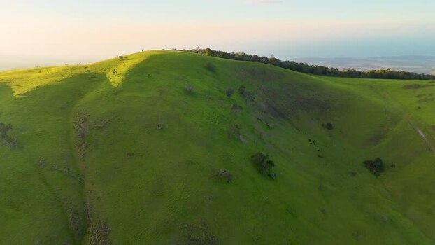 Aerial view of the lush green slopes of Puu Waawaa in Hawaii United States. Aerial view of the lush green slopes of Puu Waawaa in Hawaii United States.