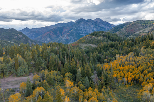 Aerial view of the Alpine Loop Scenic Byway with vibrant autumn foliage golden aspen trees and evergreen forests against rugged mountains in Utah County Utah United States. Aerial view of the Alpine Loop Scenic Byway with vibrant autumn foliage golden aspen trees and evergreen forests against rugged mountains in Utah County Utah United States.