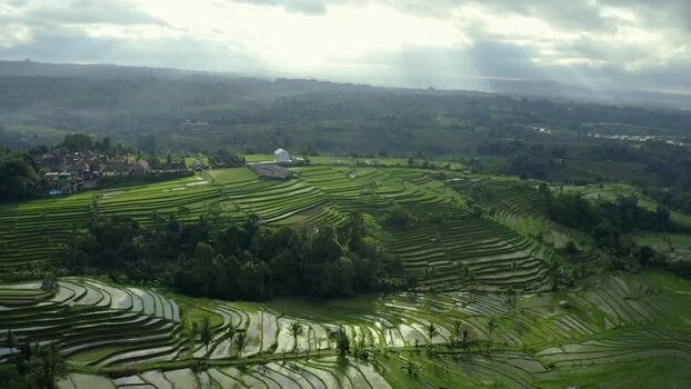 Aerial view of Jatiluwih rice terraces and misty hills Indonesia.