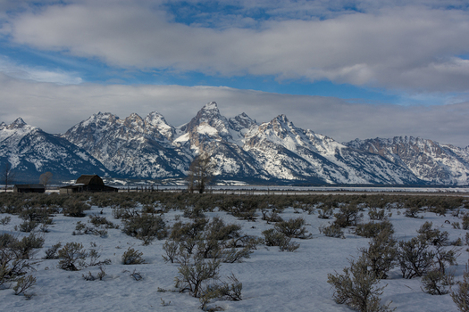 View of the snow capped Teton Range rising above the sagebrush covered valley floor and a historic wooden barn in Jackson Hole Teton County Wyoming United States.