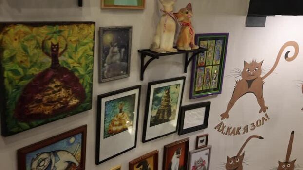 View of cat themed art gallery wall in Zelenogradsk Russia.