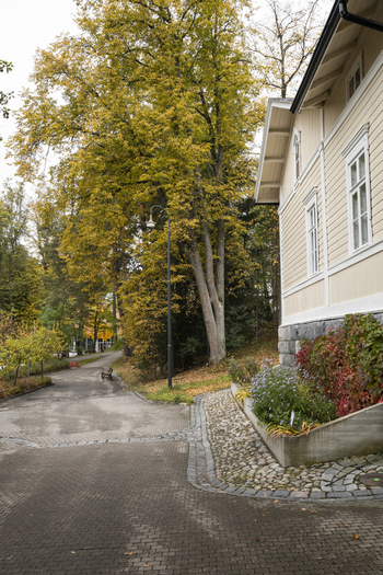 View of a traditional wooden building with a stone foundation and autumn foliage along a paved path in Jyvaskyla Central Finland Finland.