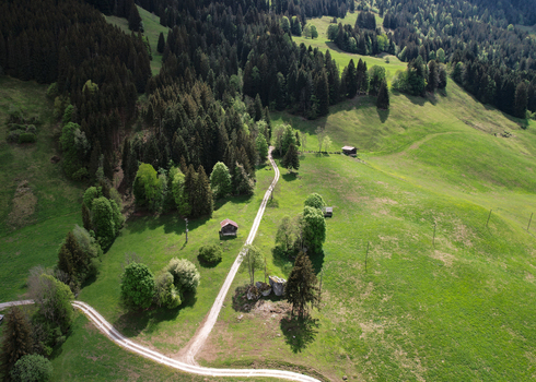 Aerial view of a winding dirt road through lush green alpine meadows and dense pine forests with traditional wooden chalets Rougemont Vaud Switzerland. Aerial view of a winding dirt road through lush green alpine meadows and dense pine forests with traditional wooden chalets Rougemont Vaud Switzerland.
