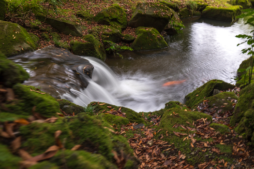 View of a small waterfall cascading into a tranquil pond surrounded by moss covered rocks and scattered leaves creating a serene scene Narita Chiba Japan. View of a small waterfall cascading into a tranquil pond surrounded by moss covered rocks and scattered leaves creating a serene scene Narita Chiba Japan.