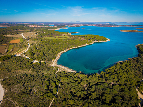 Aerial view of vibrant turquoise waters embracing the verdant coastline where lush forests meet the sparkling sea creating a stunning tapestry of nature s beauty Istria County Croatia.