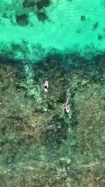 Aerial view of two people snorkeling in Bali Indonesia.