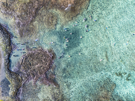 Aerial view of people snorkeling in the turquoise waters of Kahalu u Beach Park over a rocky reef in Kailua Kona Hawaii United States. Aerial view of people snorkeling in the turquoise waters of Kahalu u Beach Park over a rocky reef in Kailua Kona Hawaii United States.