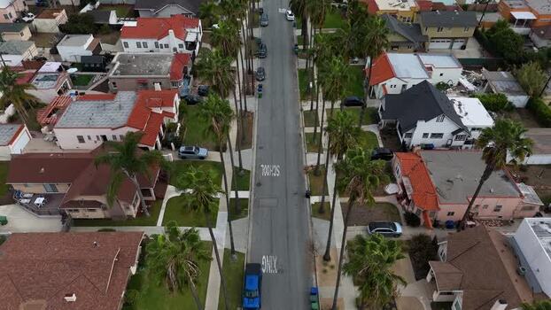 Aerial view of residential street in Baldwin Hills United States.