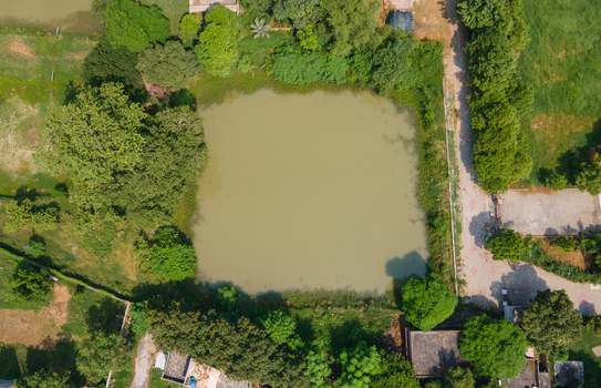 Aerial view of a square fishing farm surrounded by lush green trees and a dirt path in Punjab Pakistan. Aerial view of a square fishing farm surrounded by lush green trees and a dirt path in Punjab Pakistan.