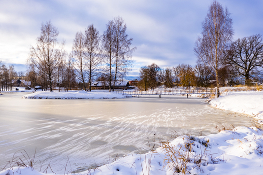 Aerial view of a frozen lake surrounded by snow covered banks and tall birch trees with a small footbridge in the winter landscape of Latvia. Aerial view of a frozen lake surrounded by snow covered banks and tall birch trees with a small footbridge in the winter landscape of Latvia.