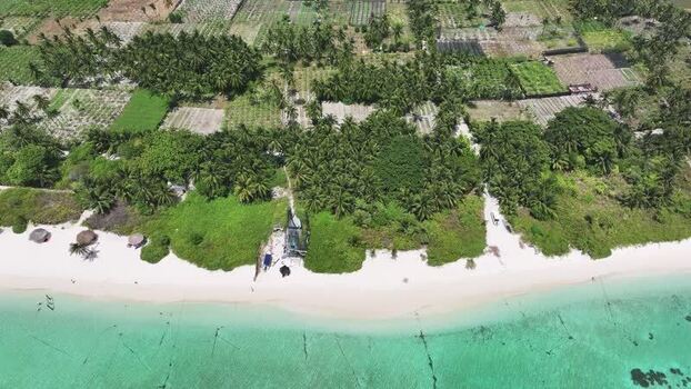 Aerial view of a tropical beach and lush palm trees in Thoddoo Maldives. Aerial view of a tropical beach and lush palm trees in Thoddoo Maldives.