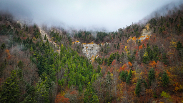Aerial view of autumn s embrace where verdant forests meet misty mountain slopes a symphony of colors under a sky veiled in soft ethereal clouds Gex Auvergne Rhône Alpes France. Aerial view of autumn s embrace where verdant forests meet misty mountain slopes a symphony of colors under a sky veiled in soft ethereal clouds Gex Auvergne Rhône Alpes France.