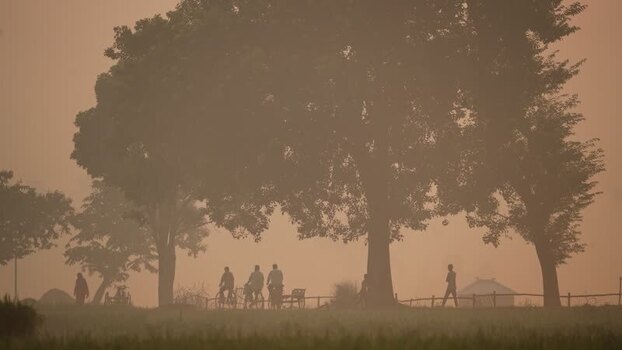 View of silhouetted people on bicycles under large trees Bangladesh. View of silhouetted people on bicycles under large trees Bangladesh.