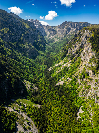 Aerial view of the Susica canyon featuring lush green forests and steep rocky cliffs under a clear blue sky in Nedajno Opstina Zabljak Montenegro. Aerial view of the Susica canyon featuring lush green forests and steep rocky cliffs under a clear blue sky in Nedajno Opstina Zabljak Montenegro.