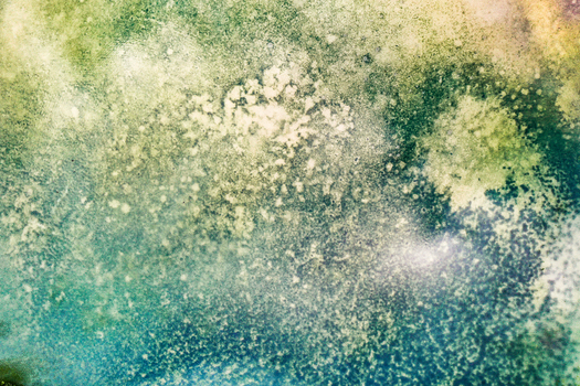 Aerial view of the Ailsbach stream with green algae and organic textures in the water Lonnerstadt Bayern Germany. Aerial view of the Ailsbach stream with green algae and organic textures in the water Lonnerstadt Bayern Germany.