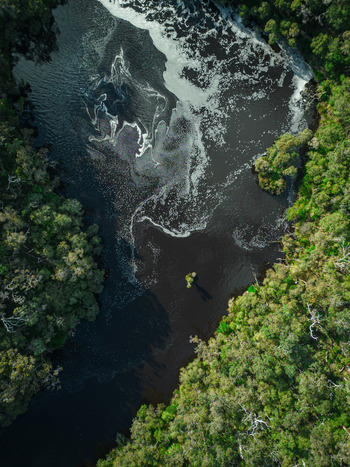 Aerial view of the Kalgan River with swirling white foam patterns on dark water surrounded by dense green eucalyptus forest in Kalgan Western Australia Australia. Aerial view of the Kalgan River with swirling white foam patterns on dark water surrounded by dense green eucalyptus forest in Kalgan Western Australia Australia.