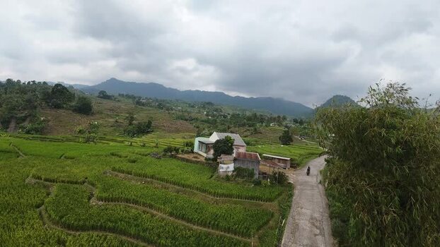 Aerial view of rice terraces and rural houses in Indonesia.