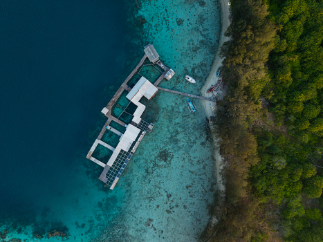 Aerial view of the shark breeding facility at Menjangan Besar Island with wooden enclosures and turquoise waters in Karimunjawa Jawa Tengah Indonesia.