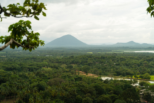 View of the lush tropical landscape and a distant conical mountain under a cloudy sky from the Dambulu Rock Inscription Dambulla Central Province Sri Lanka.