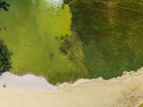 Aerial view of Burnout Lake near Salfold Hungary with clear freshwater sandy shoreline reeds wetland forest and quarry landscape in the Balaton region.