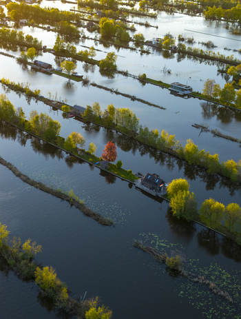 Aerial view of Scheendijk featuring narrow strips of land with houses and lush trees surrounded by water during golden hour in Breukelen Utrecht Netherlands. Aerial view of Scheendijk featuring narrow strips of land with houses and lush trees surrounded by water during golden hour in Breukelen Utrecht Netherlands.