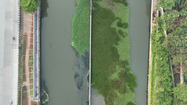 Aerial view of a canal with dense green vegetation and concrete banks in Bekasi Barat West Java Indonesia. Aerial view of a canal with dense green vegetation and concrete banks in Bekasi Barat West Java Indonesia.
