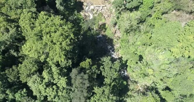 Aerial view of Cepe stream in the forest Venezuela.