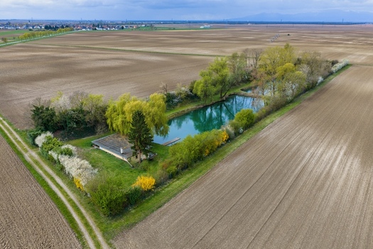 Aerial view of a tranquil pond reflecting the sky surrounded by vibrant spring foliage amidst the vast ploughed fields Neuf Brisach Grand Est France.
