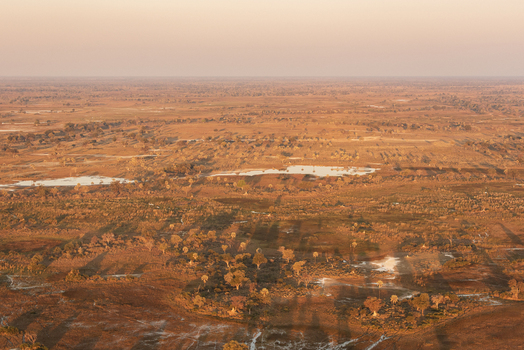Aerial view of the Okavango Delta landscape featuring scattered trees and small water pools illuminated by golden hour light in Maun North West District Botswana. Aerial view of the Okavango Delta landscape featuring scattered trees and small water pools illuminated by golden hour light in Maun North West District Botswana.