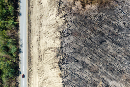 Aerial view of the Deliblato Sands wildfire aftermath showing a charred forest landscape bordering a sandy firebreak and a road with a car in Dubovac Vojvodina Serbia.