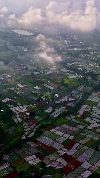 Aerial view of agricultural fields in Bali Indonesia.