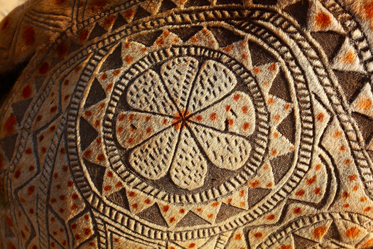 View of intricate geometric patterns shaved into the fur of a camel at Chanan Pir in Yazman Punjab Pakistan.