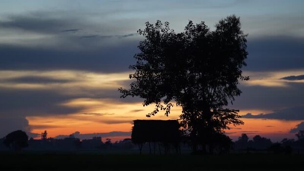 View of a tree silhouette and rural hut at sunset Bangladesh. View of a tree silhouette and rural hut at sunset Bangladesh.
