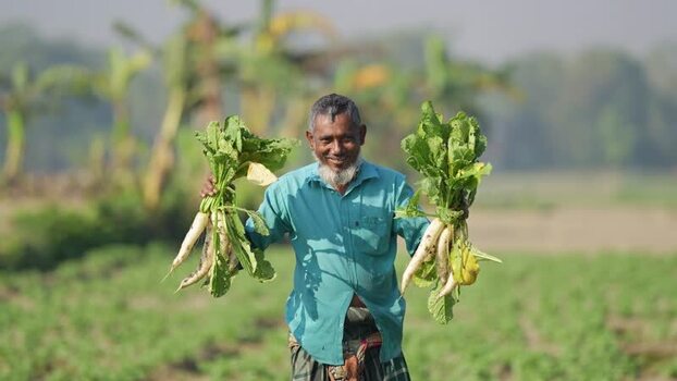 View of a smiling farmer holding harvested radishes Bangladesh. View of a smiling farmer holding harvested radishes Bangladesh.