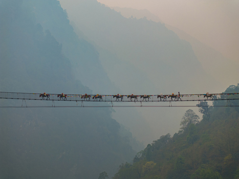 Aerial view of a line of pack animals crossing a long suspension bridge in the misty mountains of Nepal.