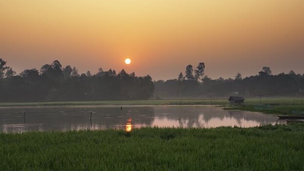 View of a golden sunset over rural rice fields Bangladesh.