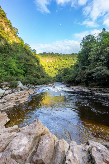 View of the Estrecho del Rio Magdalena with its narrow rocky gorge flowing river water and lush green forest in San Agustin Huila Colombia.