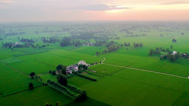 Aerial view of lush green fields in rural Patna India.